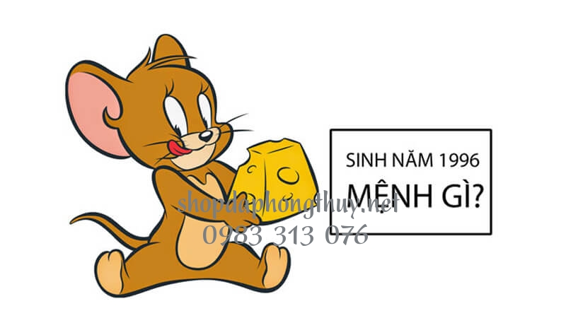 Sinh năm 1996 mệnh g&igrave;? hợp hướng n&agrave;o? đeo đ&aacute; m&agrave;u g&igrave;?