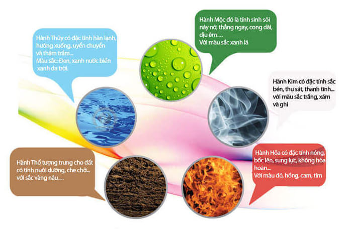 đặc t&iacute;nh của ngũ h&agrave;nh