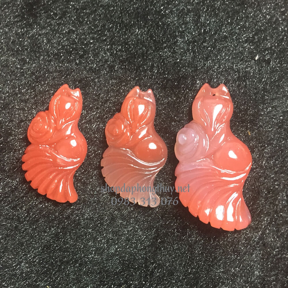 Hồ ly đ&aacute; m&atilde; n&atilde;o đu&ocirc;i d&agrave;i