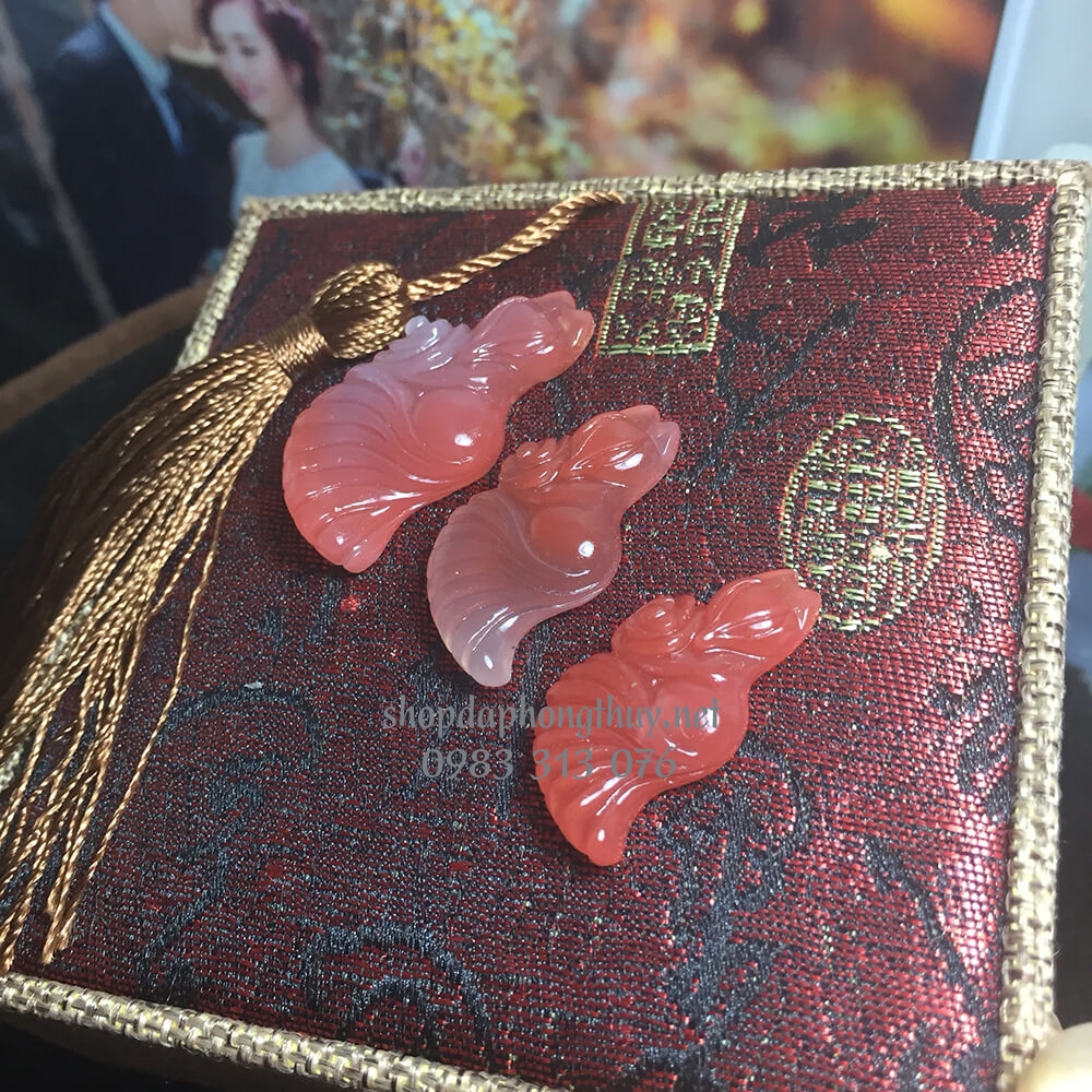 Hồ ly đ&aacute; m&atilde; n&atilde;o đu&ocirc;i d&agrave;i