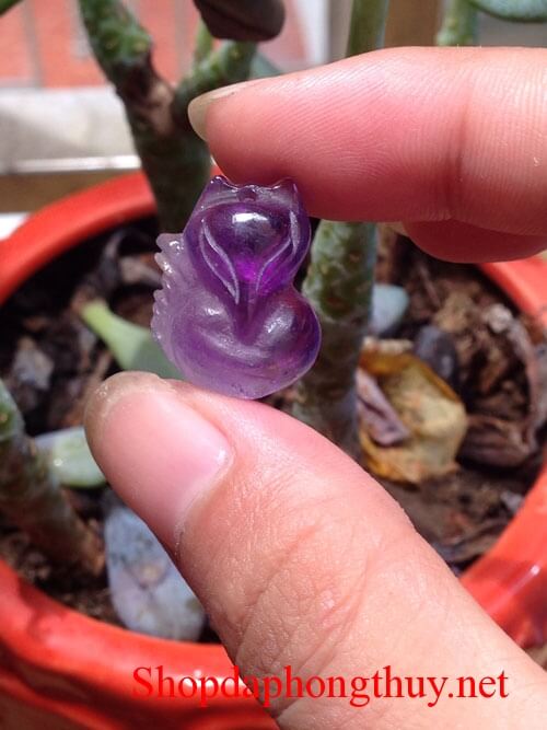 hồ ly thạch anh tím