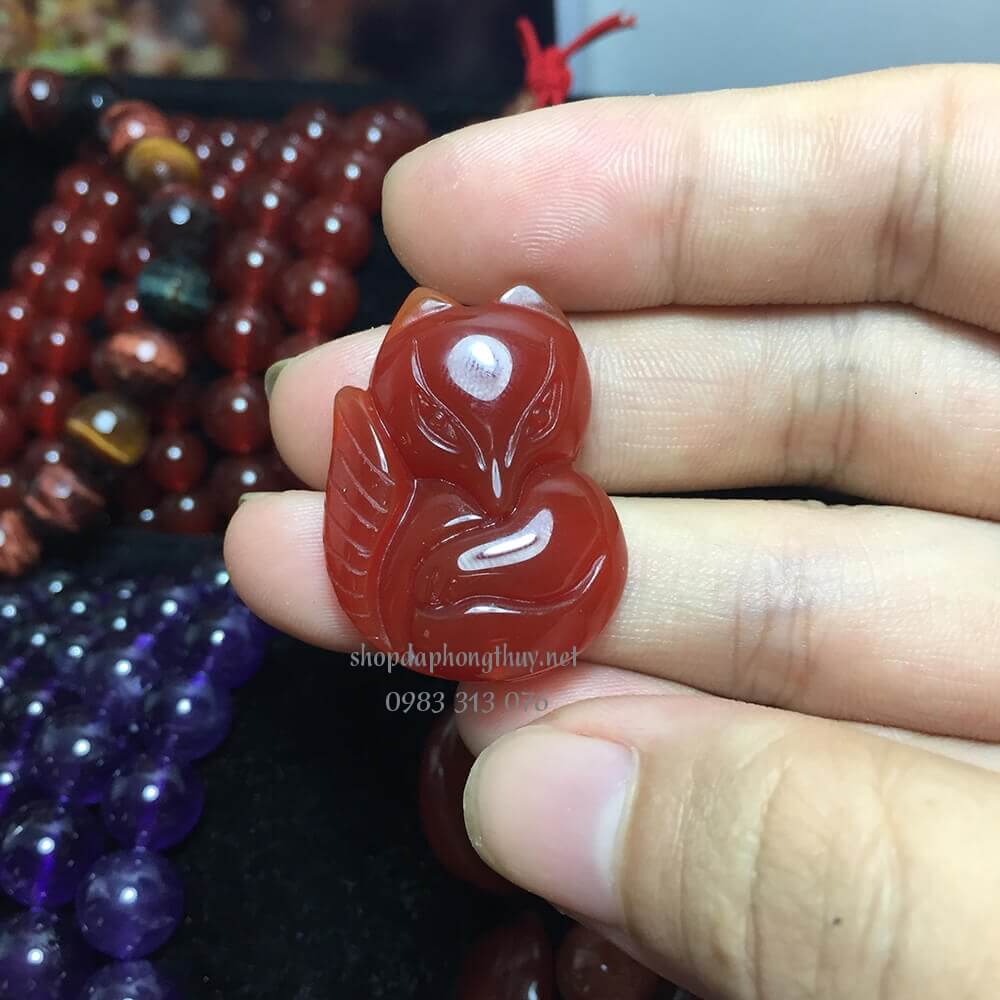 hồ ly đ&aacute; m&atilde; n&atilde;o đỏ