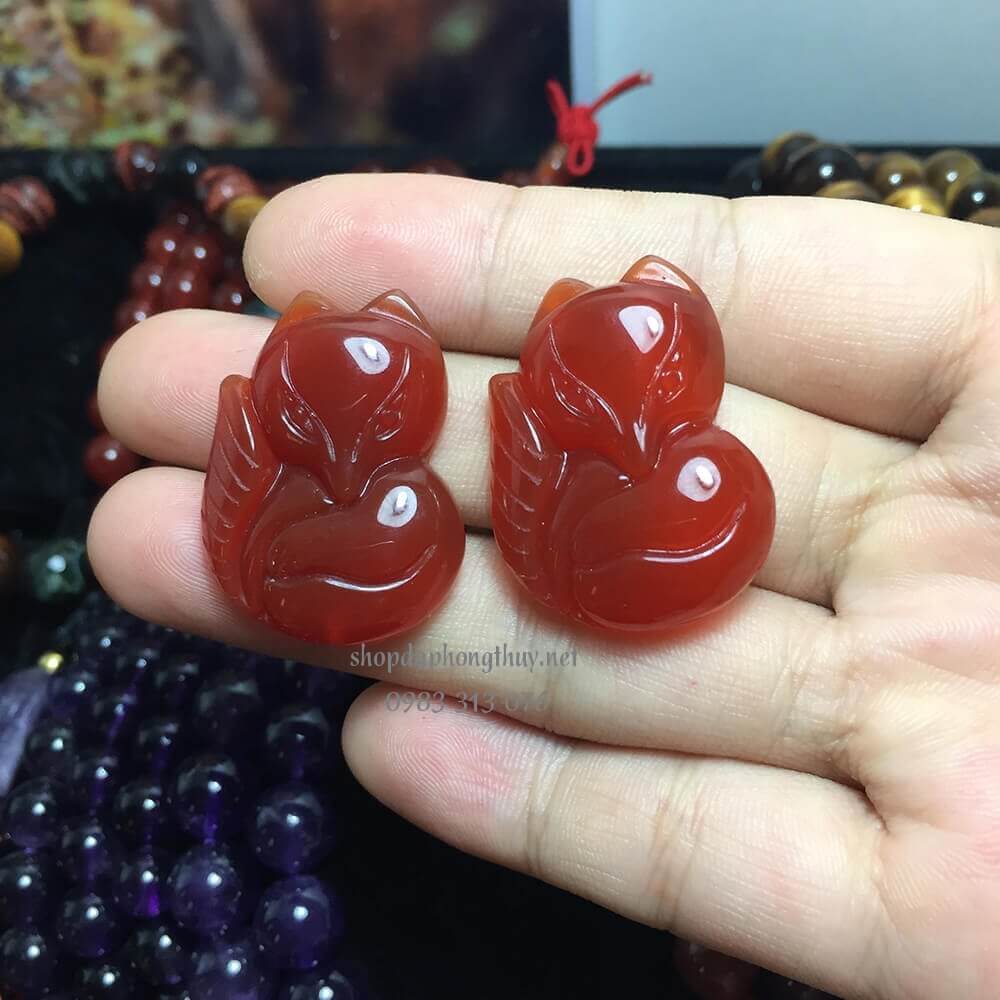 hồ ly đ&aacute; m&atilde; n&atilde;o đỏ
