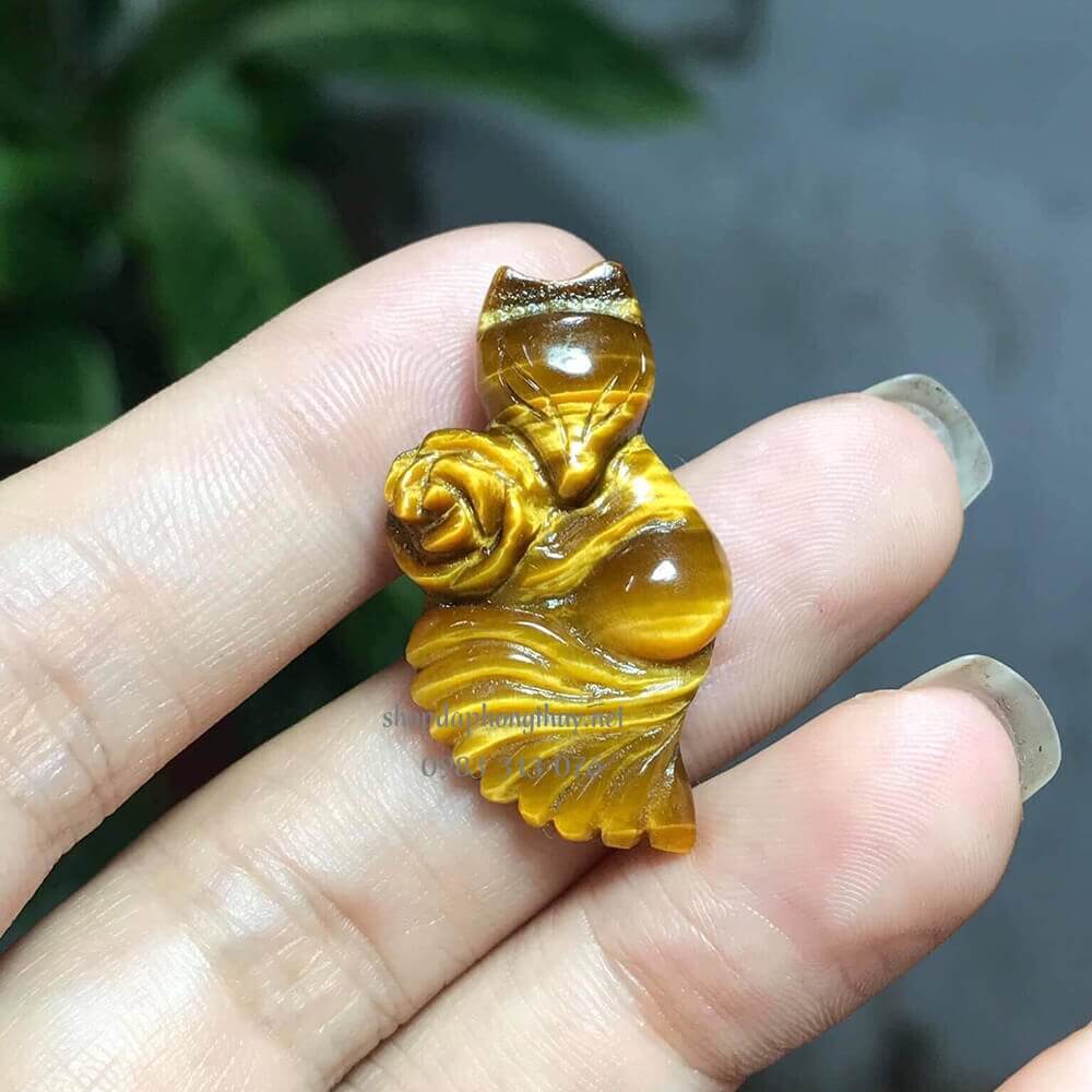 hồ ly mắt hổ đu&ocirc;i d&agrave;i