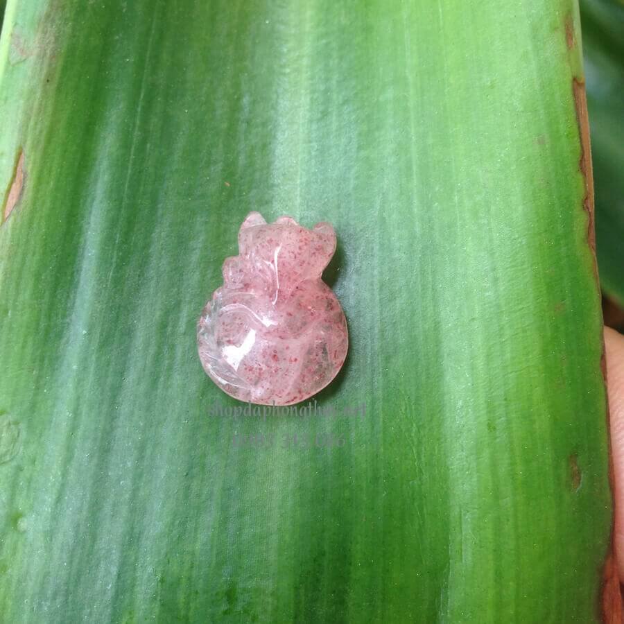 hồ ly d&acirc;u t&acirc;y hồng