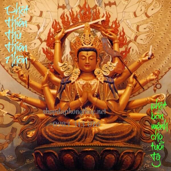 Thi&ecirc;n thủ thi&ecirc;n nh&atilde;n