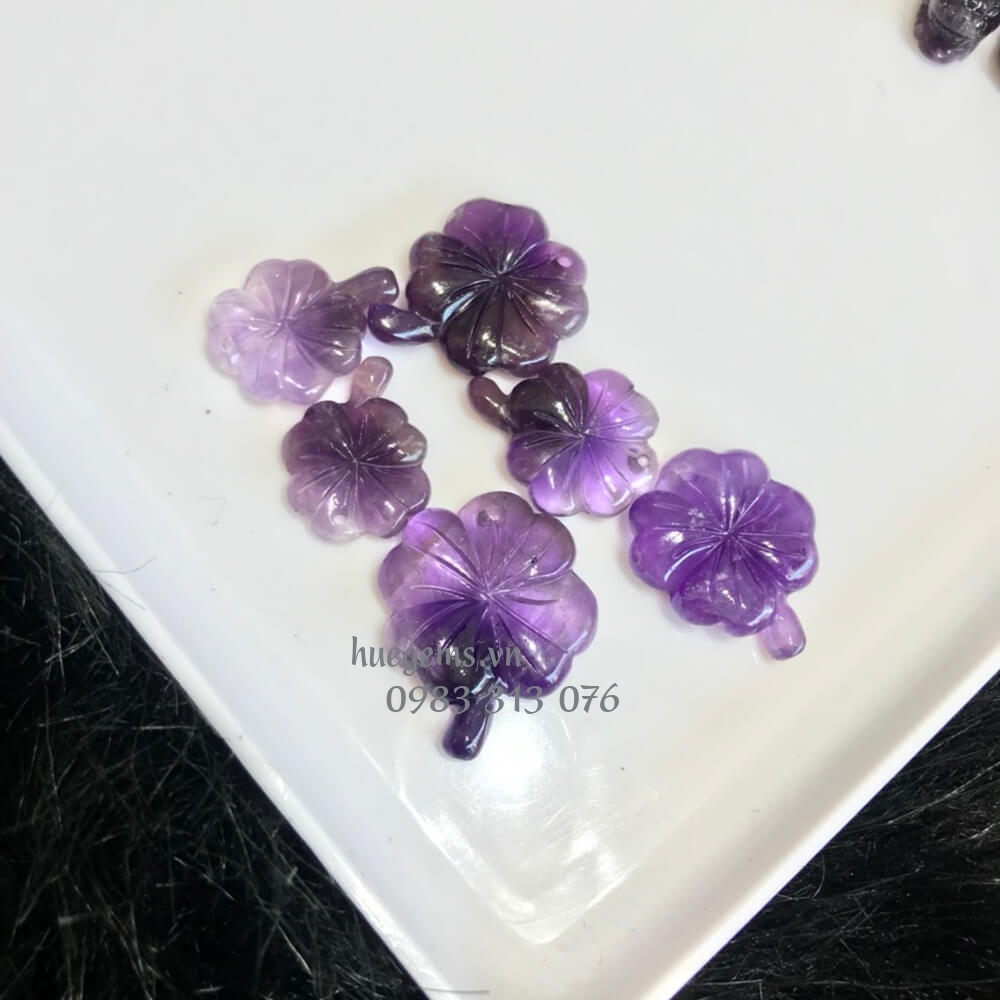 M&agrave;u tương hợp nữ 1976