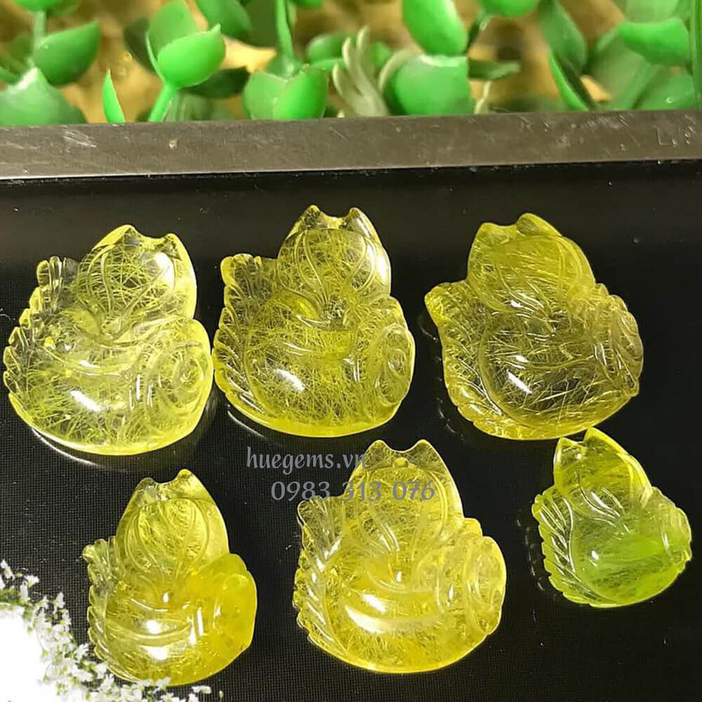 M&agrave;u tương hợp nữ 1981