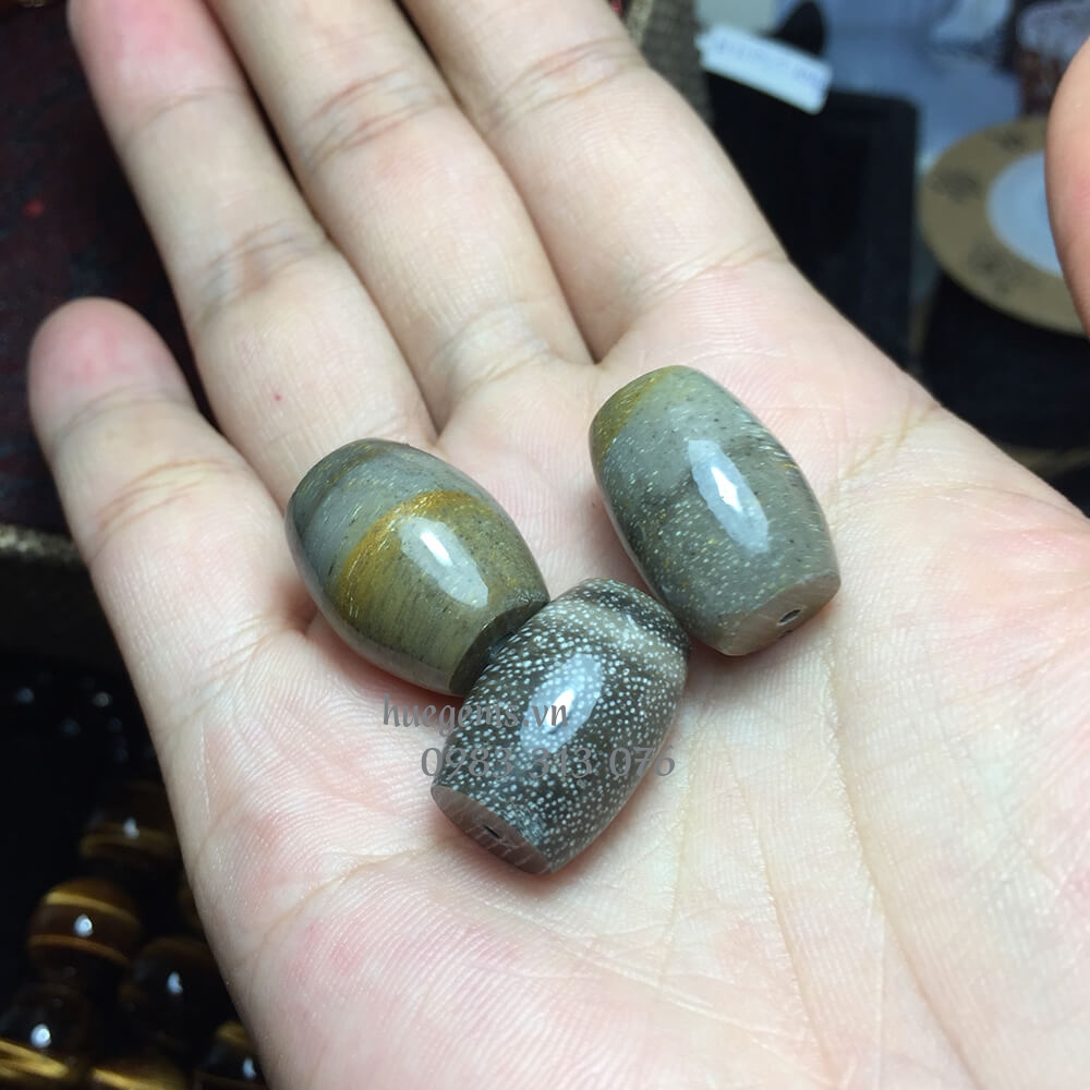 M&agrave;u tương hợp nam 1984