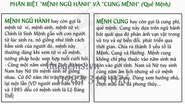 Mệnh cung của Nam v&agrave; Nữ sinh năm 1975 l&agrave; g&igrave;?