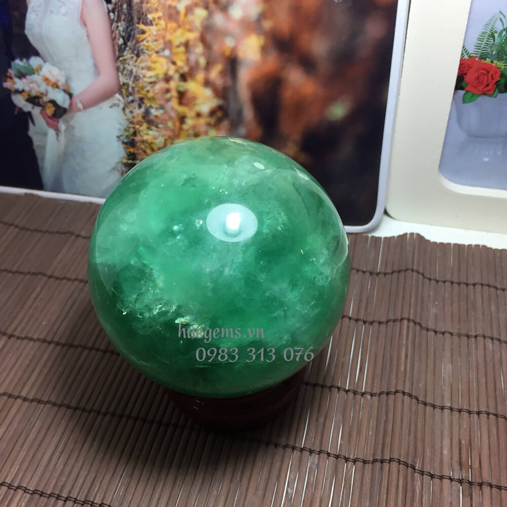 M&agrave;u tương hợp nam 2005