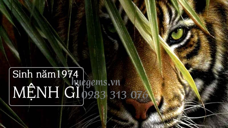 Sinh năm 1974 mệnh g&igrave;?