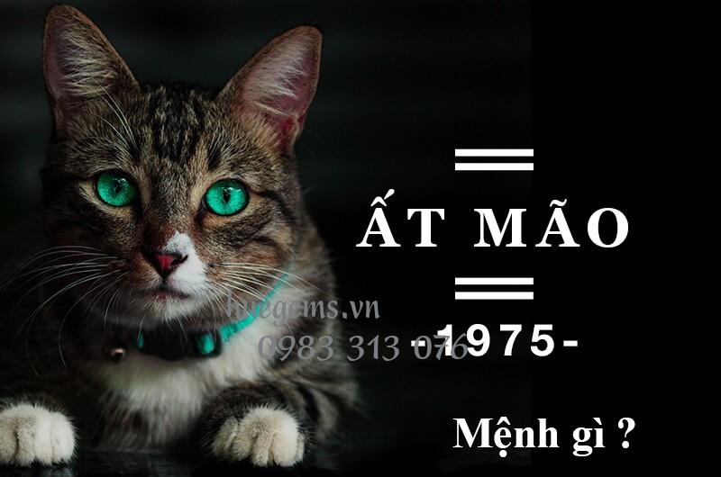 Sinh năm 1975 mệnh g&igrave;?