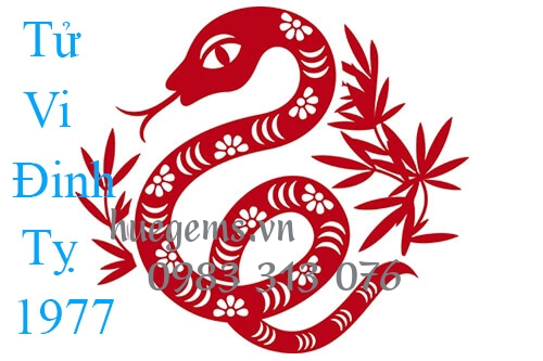 Tử vi tuổi Đinh Tỵ 1977