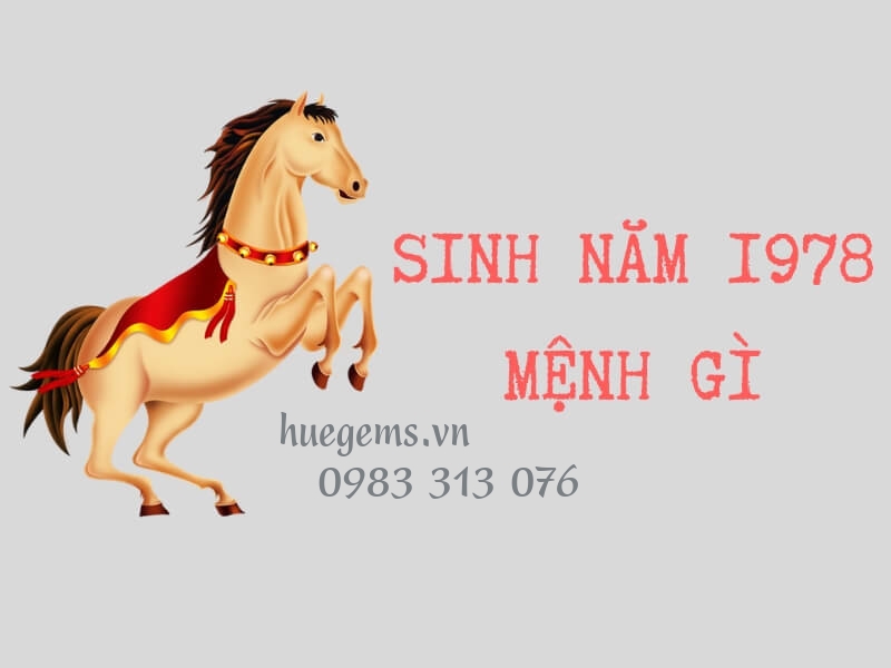 Sinh năm 1978 mệnh g&igrave;?