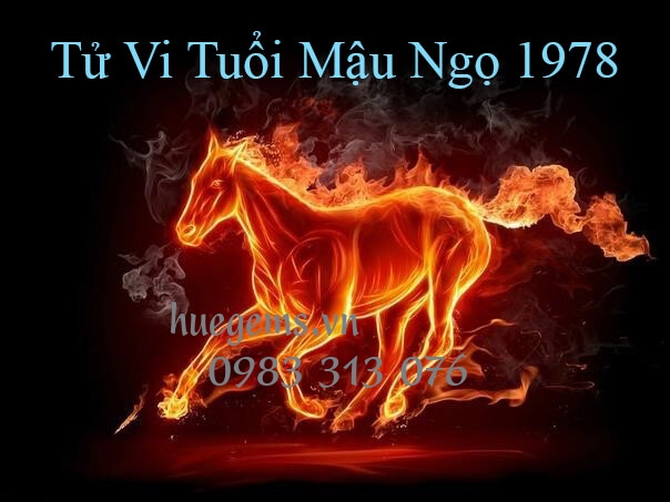 Tử vi tuổi Mậu Ngọ 1978