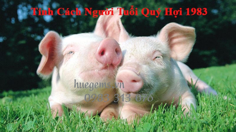 T&iacute;nh c&aacute;ch người tuổi&nbsp;Qu&yacute; Hợi 1983
