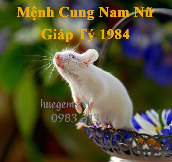 Mệnh cung của Nam v&agrave; Nữ sinh năm 1984 l&agrave; g&igrave;?