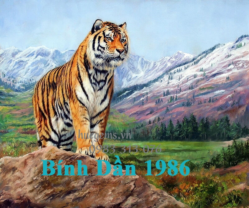 Tử vi tuổi B&iacute;nh Dần 1986