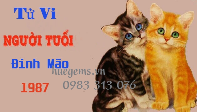 Tử vi tuổi Đinh M&atilde;o 1987