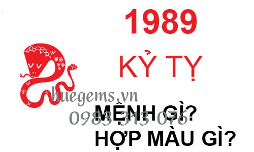 Sinh năm 1989 mệnh g&igrave;? hợp hướng n&agrave;o? đeo đ&aacute; m&agrave;u g&igrave;?