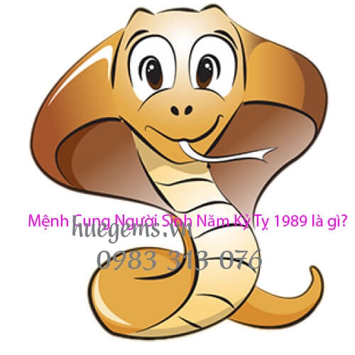 Mệnh cung của Nam v&agrave; Nữ sinh năm 1989 l&agrave; g&igrave;?