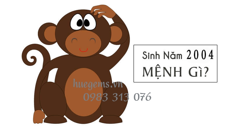 Sinh năm 2004 mệnh g&igrave;?