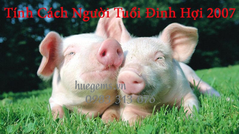 T&iacute;nh c&aacute;ch người tuổi&nbsp;Đinh Hợi 2007