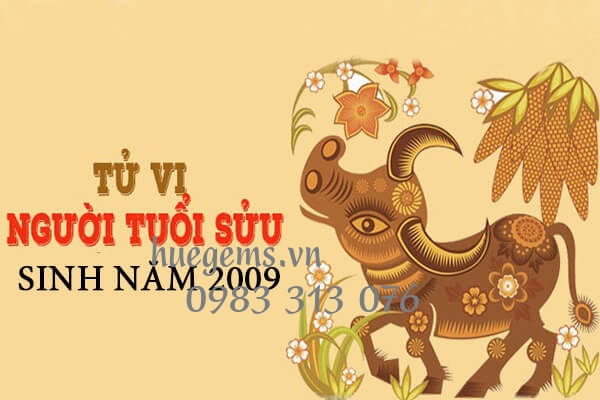 Tử vi tuổi&nbsp; Kỷ Sửu 2009