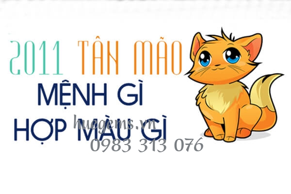Sinh năm 2011 mệnh g&igrave;? hợp hướng n&agrave;o? đeo đ&aacute; m&agrave;u g&igrave;?