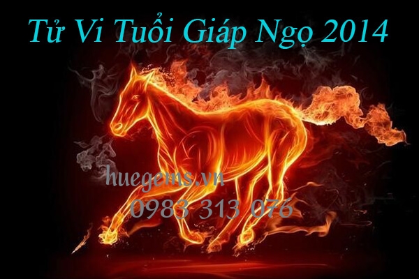 Tử vi tuổi Gi&aacute;p Ngọ 2014