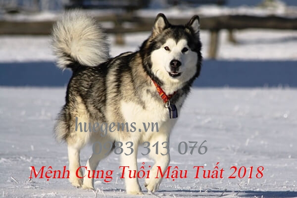 Mệnh cung của Nam v&agrave; Nữ sinh năm 2018 l&agrave; g&igrave;?