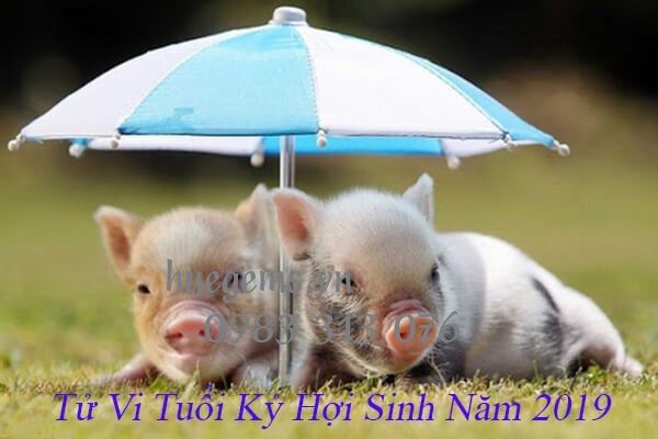 Tử vi tuổi Kỷ Hợi 2019
