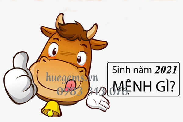 Sinh năm 2021 mệnh g&igrave;?