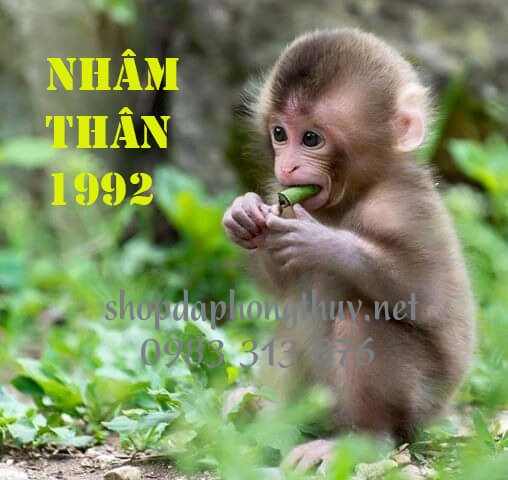 Sinh năm 1992 mệnh g&igrave;, hợp hướng n&agrave;o, đeo đ&aacute; m&agrave;u g&igrave;