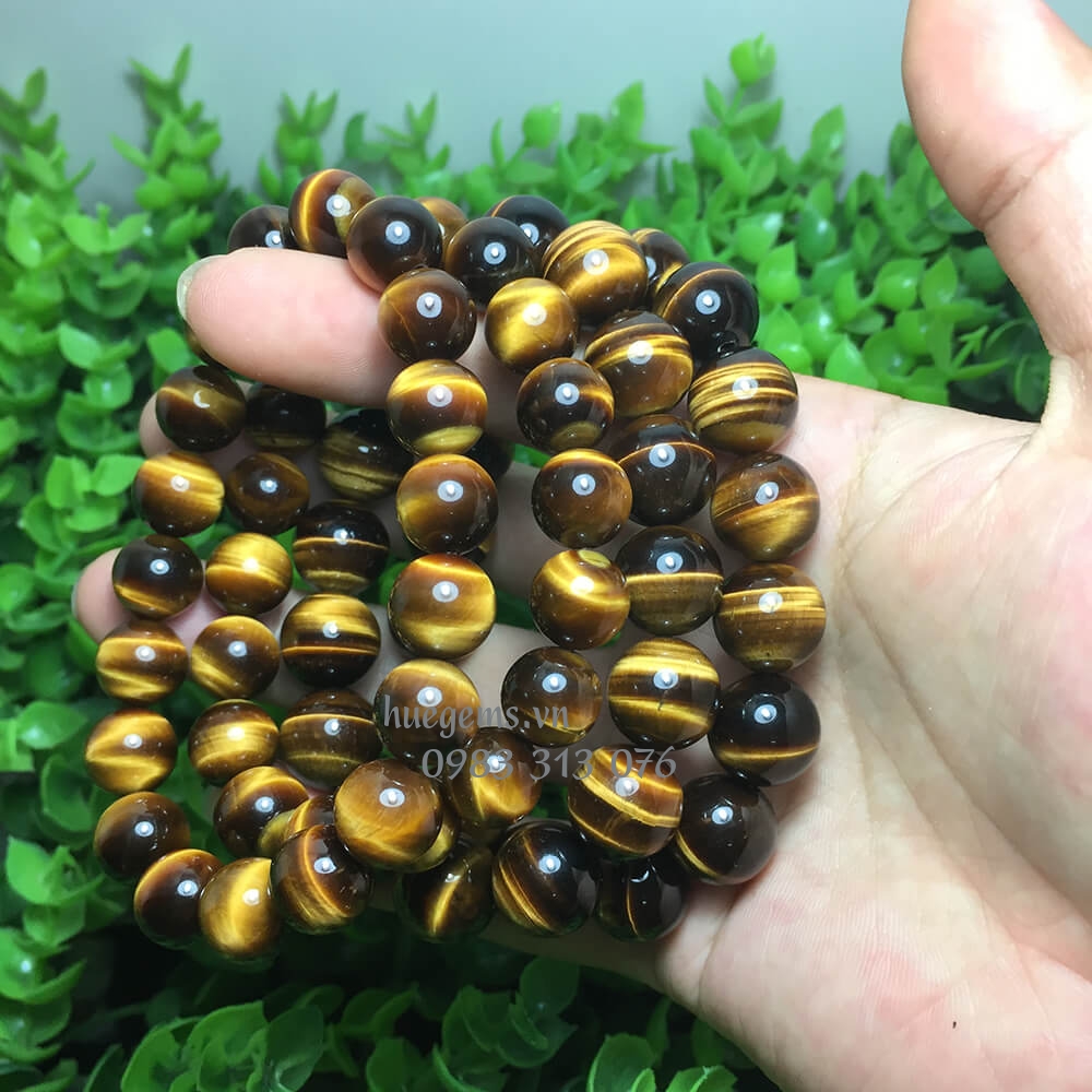 M&agrave;u tương sinh nam 2003