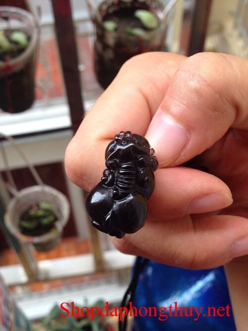 ty-huu-thach-anh-den