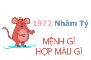 Sinh năm 1972 mệnh gì? hợp hướng nào? đeo đá màu gì?