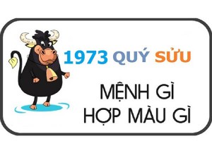 Sinh năm 1973 mệnh gì? hợp hướng nào? đeo đá màu gì?