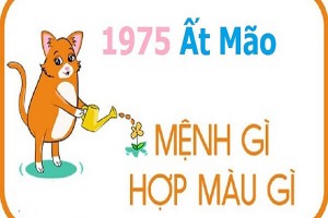 Sinh năm 1975 mệnh gì? hợp hướng nào? đeo đá màu gì?