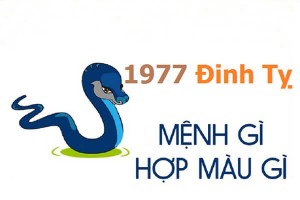 Sinh năm 1977 mệnh gì? hợp hướng nào? đeo đá màu gì?