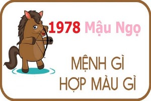 Sinh năm 1978 mệnh gì? hợp hướng nào? đeo đá màu gì?