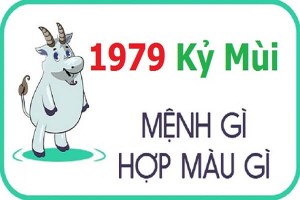 Sinh năm 1979 mệnh gì? hợp hướng nào? đeo đá màu gì?