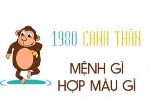Sinh năm 1980 mệnh gì? hợp hướng nào? đeo đá màu gì?