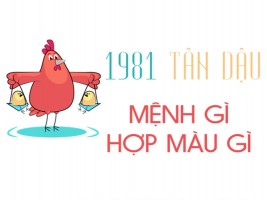 Sinh năm 1981 mệnh gì? hợp hướng nào? đeo đá màu gì?