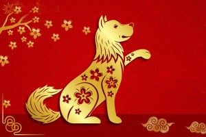 Sinh năm 1994 mệnh gì? hợp hướng nào? đeo đá màu gì?