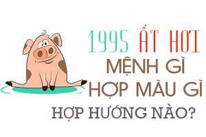 Sinh năm 1995 mệnh gì? hợp hướng nào? đeo đá màu gì?