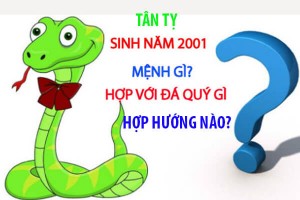 Sinh năm 2001 mệnh gì? hợp hướng nào? đeo đá màu gì?