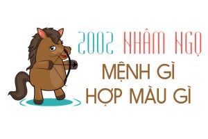 Sinh năm 2002 mệnh gì? hợp hướng nào? đeo đá màu gì?