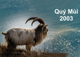 Sinh năm 2003 mệnh gì? hợp hướng nào? đeo đá màu gì?